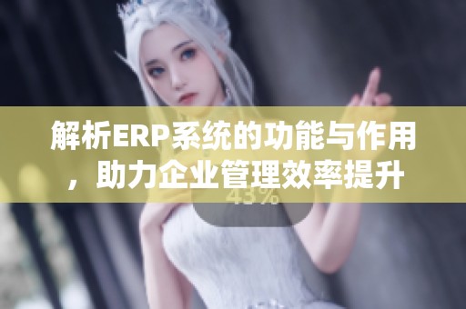 解析ERP系统的功能与作用，助力企业管理效率提升
