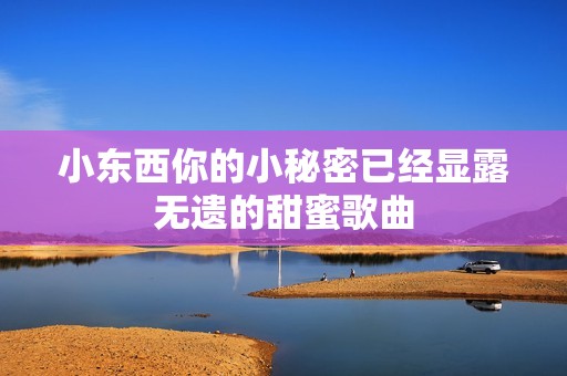 小东西你的小秘密已经显露无遗的甜蜜歌曲