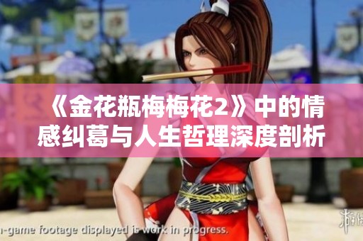 《金花瓶梅梅花2》中的情感纠葛与人生哲理深度剖析