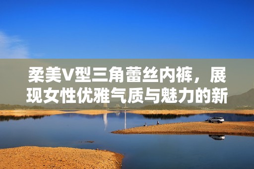 柔美V型三角蕾丝内裤，展现女性优雅气质与魅力的新选择
