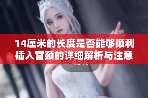 14厘米的长度是否能够顺利插入宫颈的详细解析与注意事项