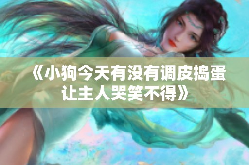 《小狗今天有没有调皮捣蛋让主人哭笑不得》