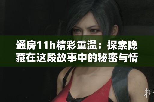 通房11h精彩重温：探索隐藏在这段故事中的秘密与情感