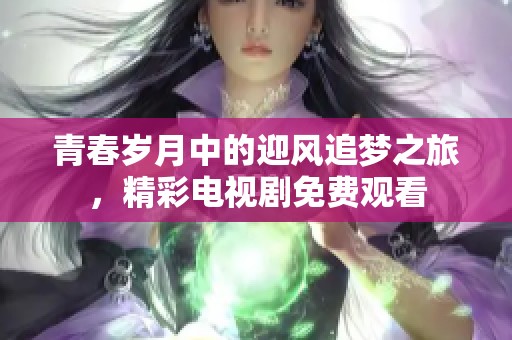 青春岁月中的迎风追梦之旅，精彩电视剧免费观看