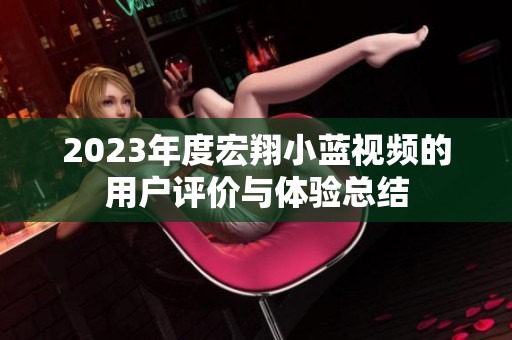 2023年度宏翔小蓝视频的用户评价与体验总结