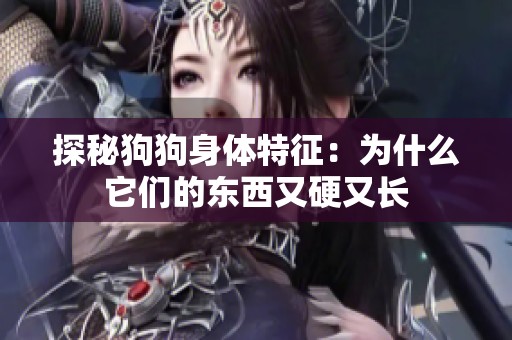 探秘狗狗身体特征：为什么它们的东西又硬又长