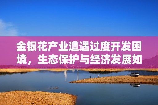 金银花产业遭遇过度开发困境，生态保护与经济发展如何平衡