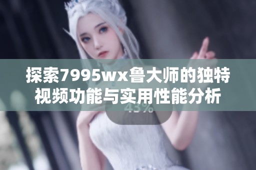 探索7995wx鲁大师的独特视频功能与实用性能分析