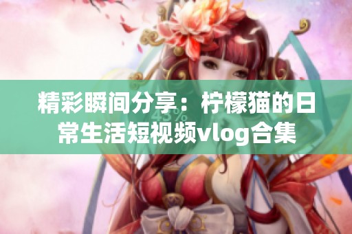 精彩瞬间分享：柠檬猫的日常生活短视频vlog合集