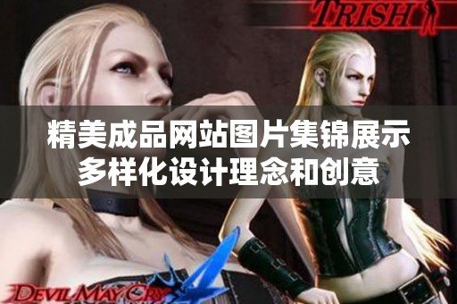 精美成品网站图片集锦展示多样化设计理念和创意