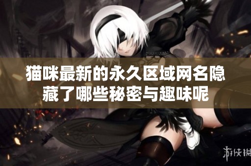 猫咪最新的永久区域网名隐藏了哪些秘密与趣味呢
