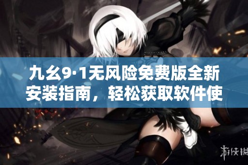九幺9·1无风险免费版全新安装指南，轻松获取软件使用技巧