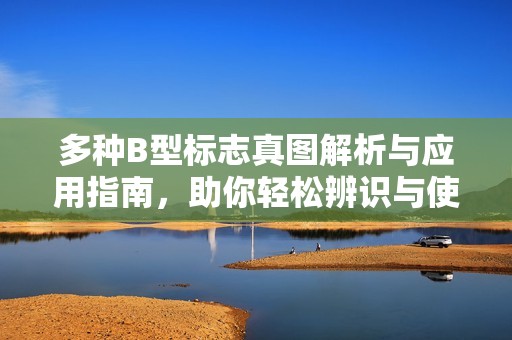 多种B型标志真图解析与应用指南，助你轻松辨识与使用
