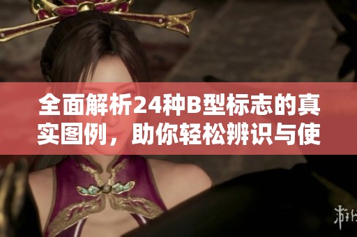 全面解析24种B型标志的真实图例，助你轻松辨识与使用