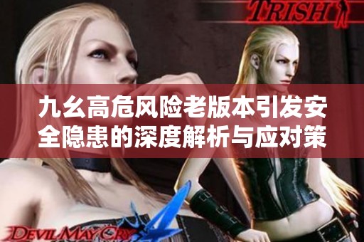 九幺高危风险老版本引发安全隐患的深度解析与应对策略