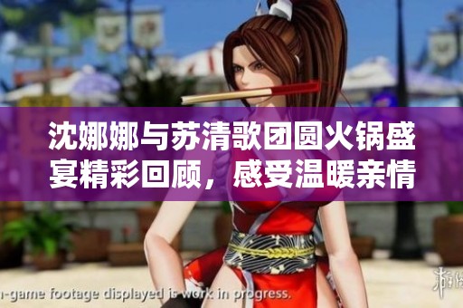 沈娜娜与苏清歌团圆火锅盛宴精彩回顾，感受温暖亲情时刻