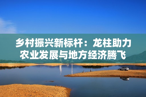 乡村振兴新标杆：龙柱助力农业发展与地方经济腾飞