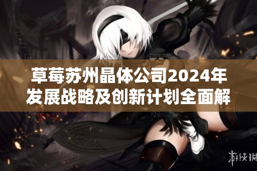草莓苏州晶体公司2024年发展战略及创新计划全面解析