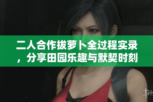 二人合作拔萝卜全过程实录，分享田园乐趣与默契时刻