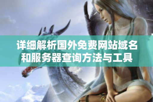详细解析国外免费网站域名和服务器查询方法与工具