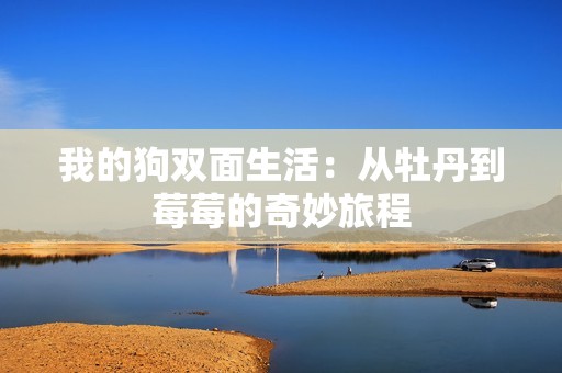 我的狗双面生活：从牡丹到莓莓的奇妙旅程