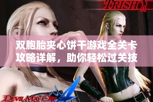 双胞胎夹心饼干游戏全关卡攻略详解，助你轻松过关技巧分享