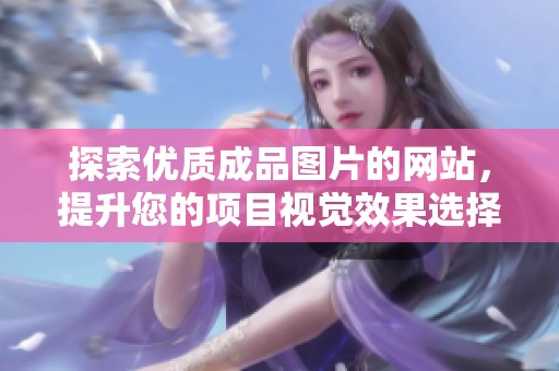 探索优质成品图片的网站，提升您的项目视觉效果选择丰富之处