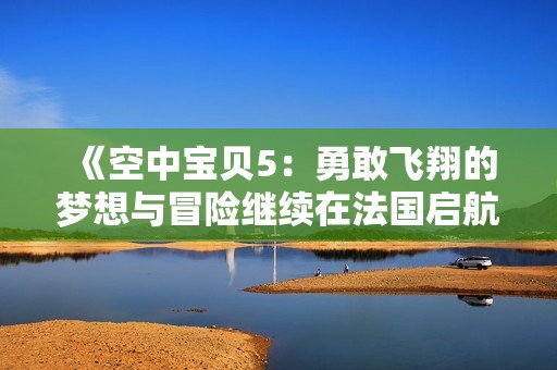 《空中宝贝5：勇敢飞翔的梦想与冒险继续在法国启航》