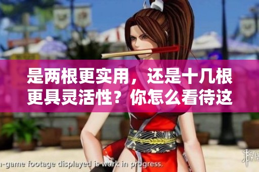 是两根更实用，还是十几根更具灵活性？你怎么看待这个问题