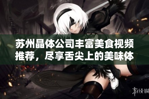 苏州晶体公司丰富美食视频推荐，尽享舌尖上的美味体验