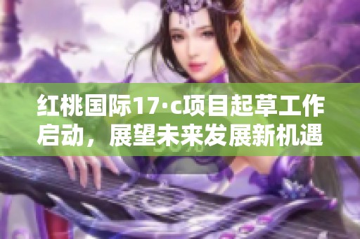 红桃国际17·c项目起草工作启动，展望未来发展新机遇