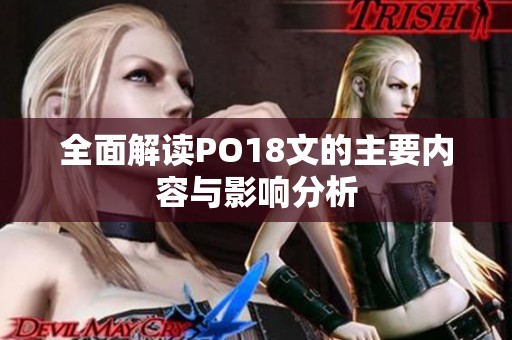 全面解读PO18文的主要内容与影响分析