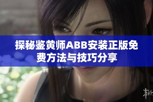 探秘鉴黄师ABB安装正版免费方法与技巧分享
