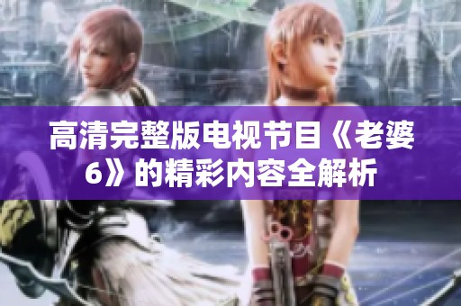 高清完整版电视节目《老婆6》的精彩内容全解析
