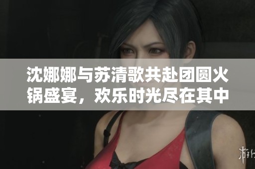 沈娜娜与苏清歌共赴团圆火锅盛宴，欢乐时光尽在其中