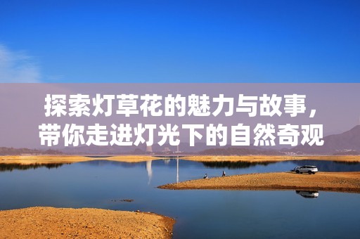 探索灯草花的魅力与故事，带你走进灯光下的自然奇观