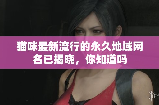 猫咪最新流行的永久地域网名已揭晓，你知道吗