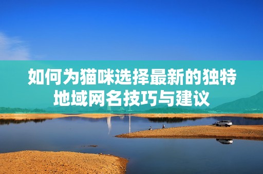 如何为猫咪选择最新的独特地域网名技巧与建议