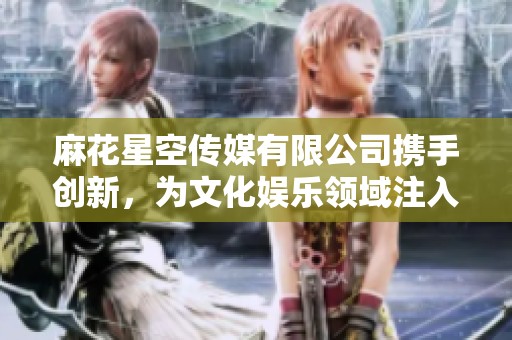 麻花星空传媒有限公司携手创新，为文化娱乐领域注入新活力