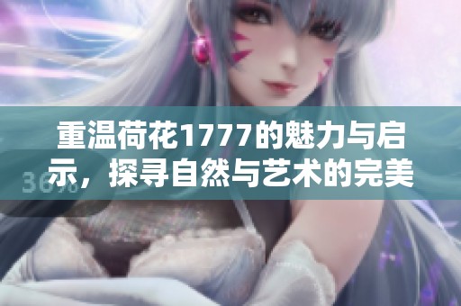 重温荷花1777的魅力与启示，探寻自然与艺术的完美结合