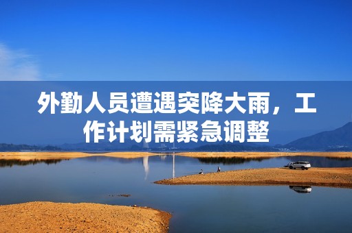 外勤人员遭遇突降大雨，工作计划需紧急调整