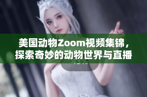 美国动物Zoom视频集锦，探索奇妙的动物世界与直播乐趣