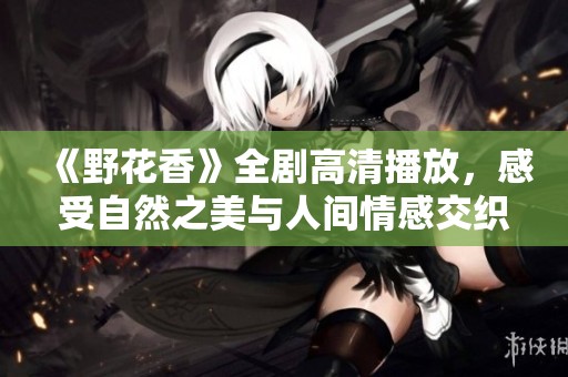 《野花香》全剧高清播放，感受自然之美与人间情感交织的故事