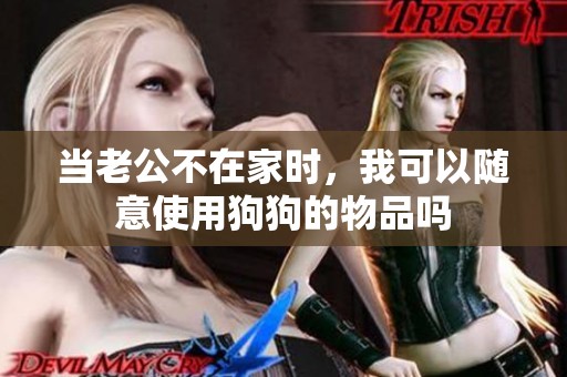 当老公不在家时，我可以随意使用狗狗的物品吗