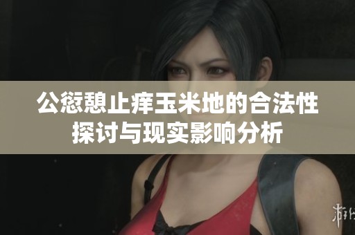 公愆憩止痒玉米地的合法性探讨与现实影响分析