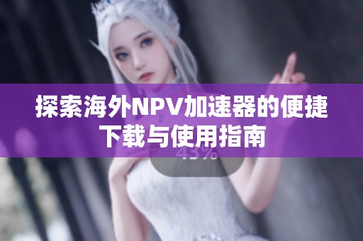 探索海外NPV加速器的便捷下载与使用指南