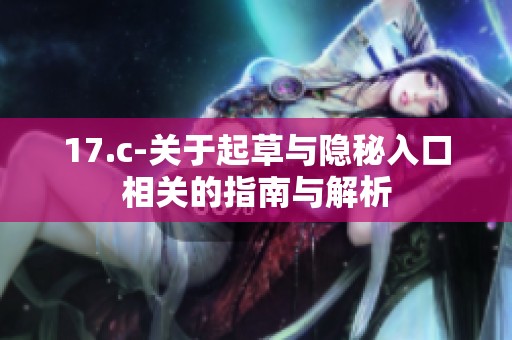 17.c-关于起草与隐秘入口相关的指南与解析