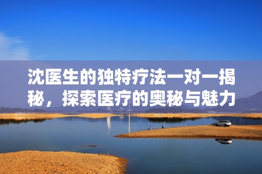 沈医生的独特疗法一对一揭秘，探索医疗的奥秘与魅力
