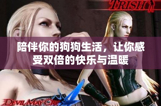 陪伴你的狗狗生活，让你感受双倍的快乐与温暖