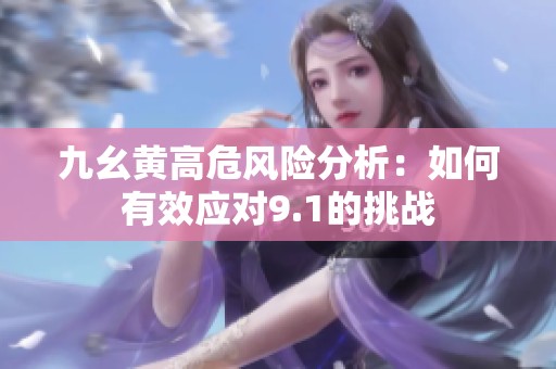 九幺黄高危风险分析：如何有效应对9.1的挑战